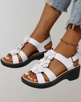 Latacia - Hohle Neigung Ferse Fisch Mund Blume