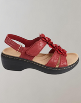 Latacia - Hohle Neigung Ferse Fisch Mund Blume